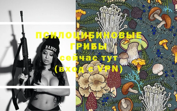 дмт Белокуриха