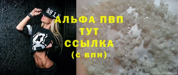 PSILOCYBIN Беломорск