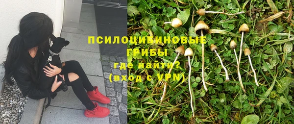 дурь Аркадак