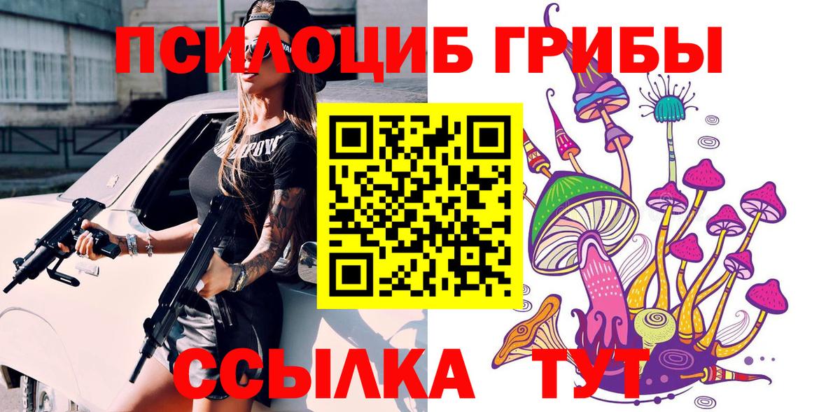 Борисоглебск  Псилоцибиновые грибы Psilocybine cubensis  Вход с VPN 